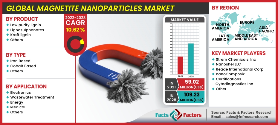 Global Magnetite Nanoparticles Market